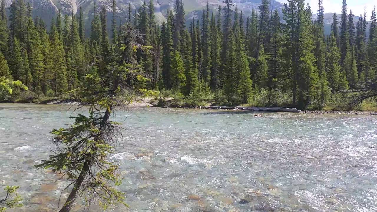 Brady's Banff Hector lake