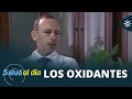 Salud al día | ¿Antioxidantes si o no? Te damos la respuesta