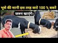 बकरों के लिए गेहूं के भूसे की सानी करने का गजब तरीका।Gheuo ke bhuse ki shanni l Fayeem vlogs