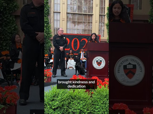 Princeton University therapy dog named honorary member of the Class of 2026