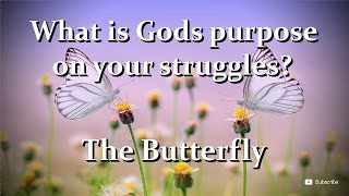 Struggle in life  - Motivational story no : 4 - The Butterfly - When you struggle in life - Listen