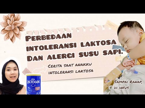 Video: Adakah minyak sapi mempunyai laktosa?