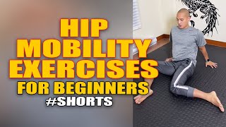 Beginner Hip Mobility Exercises Resimi