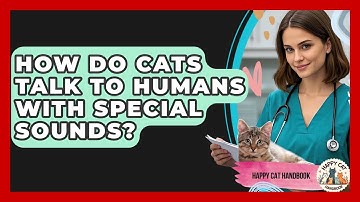 How Do Cats Talk To Humans With Special Sounds? - Happy Cat Handbook