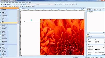 Free website DropBox and Dot tk