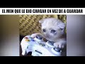 MEMES DE VIDEOJUEGOS #2