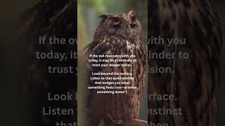 Owl Message.. #animalmessages #animalguides #animalmagic #owls #messagesfromuniverse #witch #witches