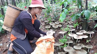 yal che chŏh tơlơi jrai | Ngă ƀơyô ƀĭ đang ngă pơjang ƀĭ jơ̆ng | Liên khúc dân ca jrai