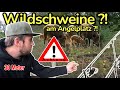 😨 Aalangeln in Gefahr! 😨 | Wildschweine am Angelplatz &amp; eine chaotische Nacht
