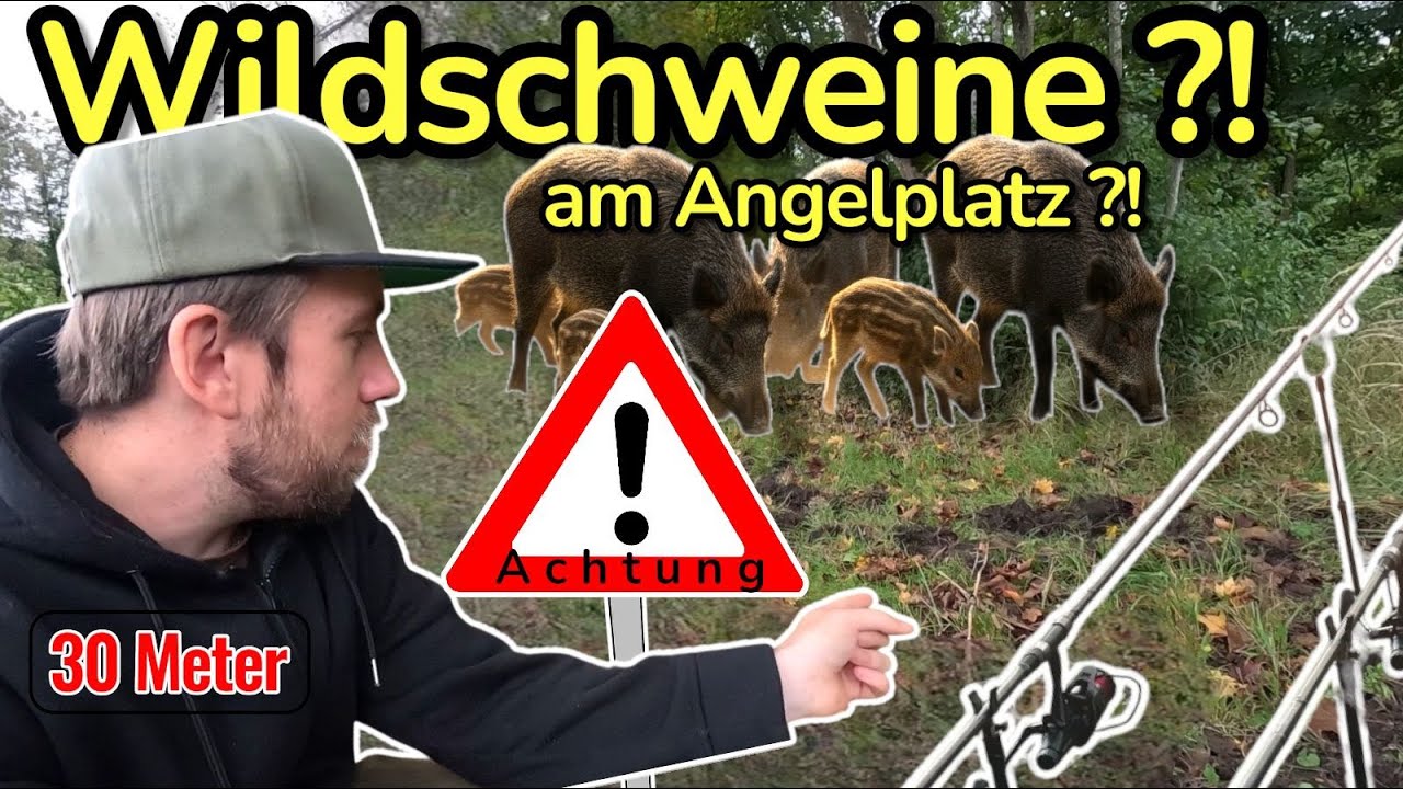 😨 Aalangeln in Gefahr! 😨 | Wildschweine am Angelplatz & eine chaotische Nacht