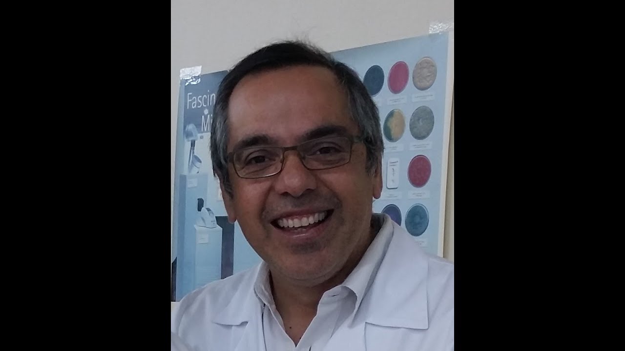 Microcultivo de levaduras