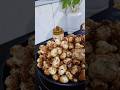healthiest evening snack idea☺️#recipe #trending #viralshort #ytshorts