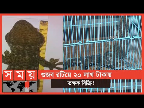 ভিডিও: আমাদের কি জিম্মিদের মুক্তিপণ দেওয়া হয়?