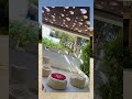 Sardinia (Cagliari) Italy - NOHA Lifestyle Hotel (Adults Only)