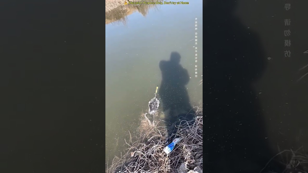 This type of rocket should not be launched. 