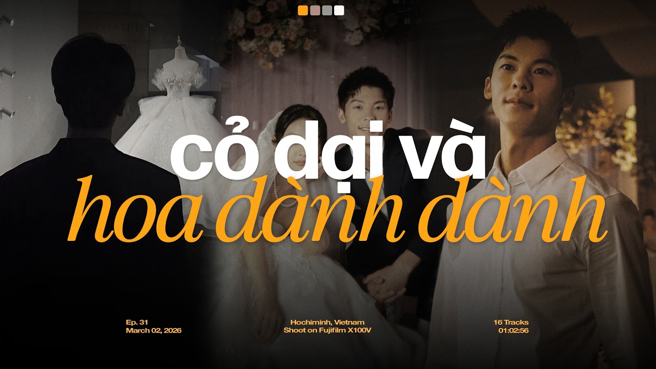 Cỏ Dại Và Hoa Dành Dành, 50 Năm Về Sau- - Cỏ Dại Khô Dưới Chân ♬ Nhạc Chill Triệu View TikTok