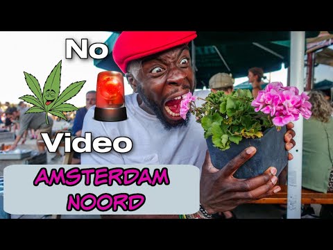 ??You have to see this place in Amsterdam! (Amsterdam Noord)