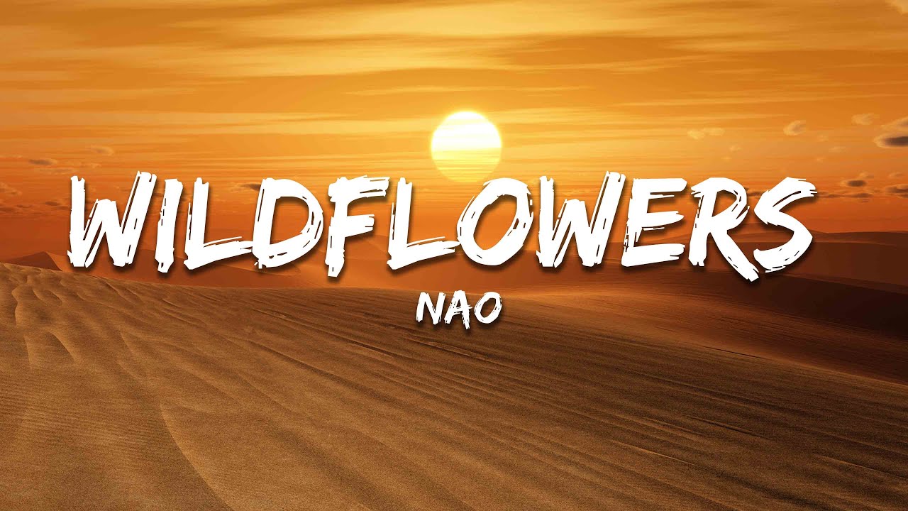 Nao - Wildflowers (Lyrics)