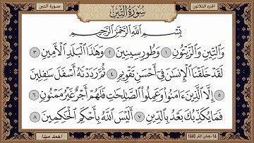 سورة التين، مكتوبة، حسن صالح، بدون اعلانات