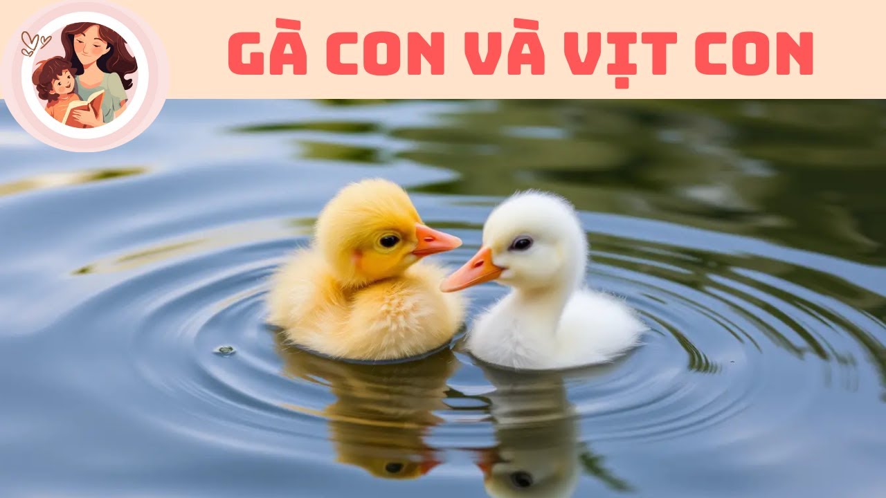 Gà con và Vịt con - Truyện Kể Bé Nghe - YouTube