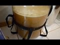 Homebrewing Basics: Fermentation