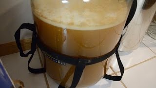 Homebrewing Basics: Fermentation