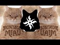 Lenar MONTAGEM MIAU Ultra Slowed