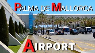 Mallorca Flughafen zu Ihrem Hotel: Taxi, Bus, Shuttle oder Mietwagen?