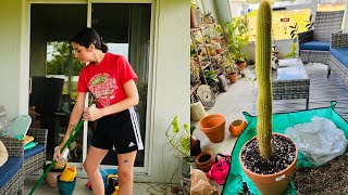 Organizing My Patio Did Not Go As Planned..☹️ Massive Plant Projects + How To Repot a Cactus!🌵