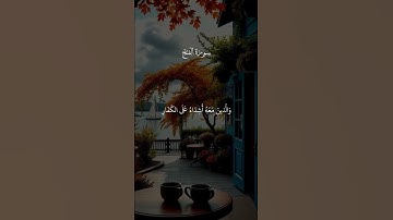 محمد رسول الله والذين معه أشداء على الكفار | الآية 29 من سورة الفتح