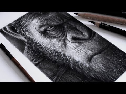 Vídeo: Como Desenhar O Wally Dos Macacos Espaciais