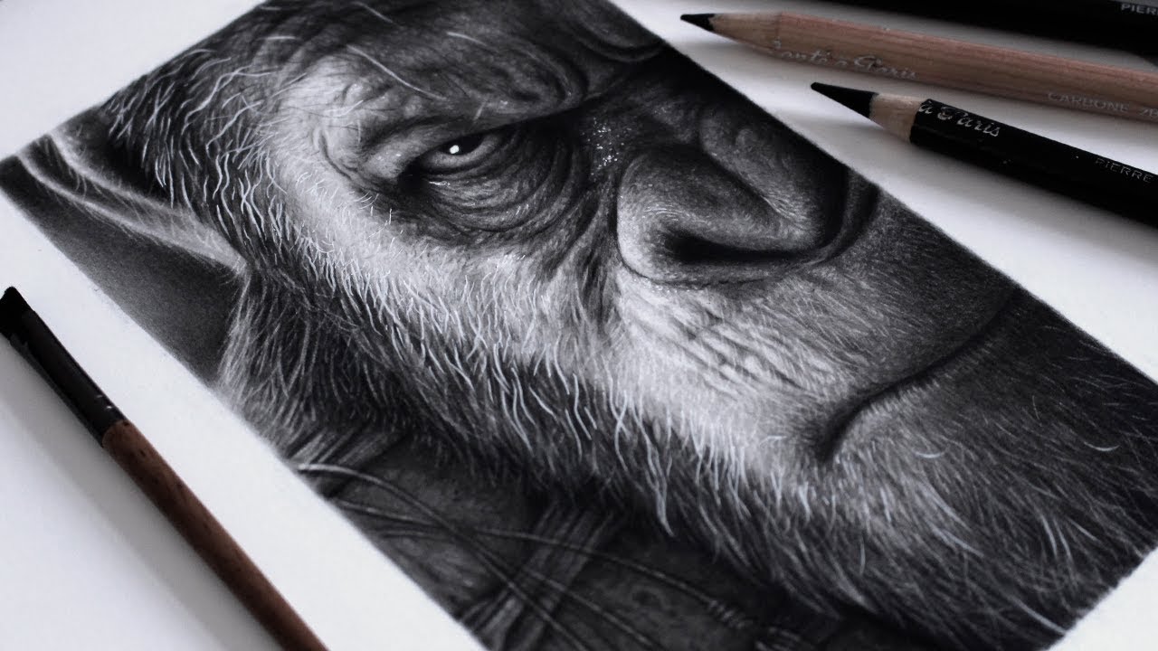 Desenhando Cesar - Planeta Dos Macacos (Carvão) 