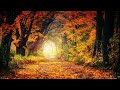 Relaxing Music, Stress Relief, Calm and Rest Music #2