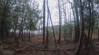 Wetland improvement projects receive funding in Maine