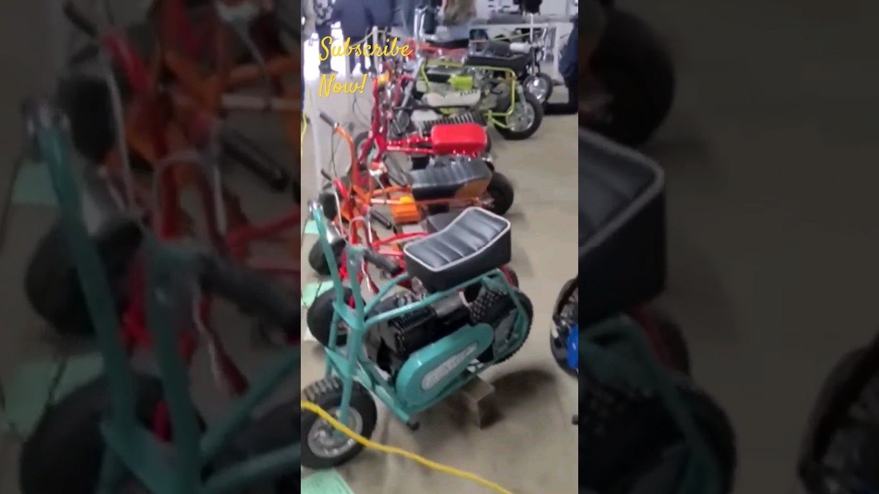 Mini Bikes Taking Over! 