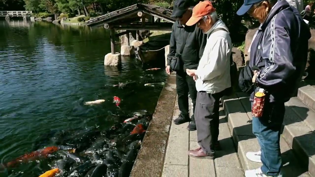 La rutina más serena de Japón