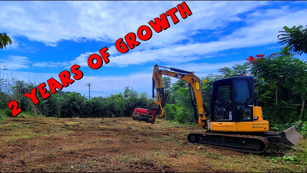 Как быстро мы сможем снова замульчировать этот участок?