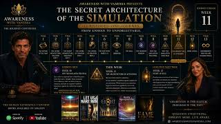 The Architecture of Attention Unlock Your Reality