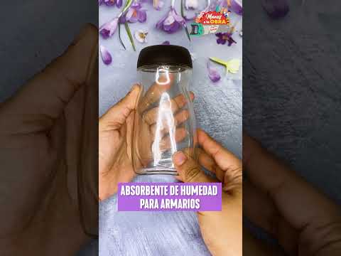 Video: Los mejores absorbentes de olores para habitaciones