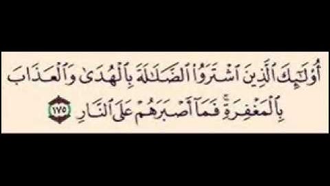 سورة البقره 176 - 175