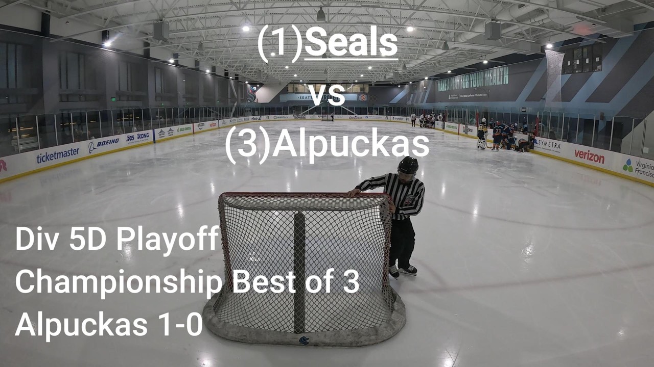 Beer League Goalie Playoffs: Seals 5D vs Alpuckas 5D - YouTube