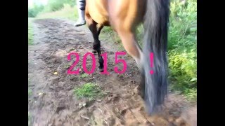 bb 2015