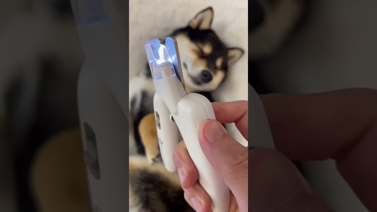 husky nail cutter 😍 