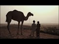حكاية الرجل والظل والطريق إلى الحكمة