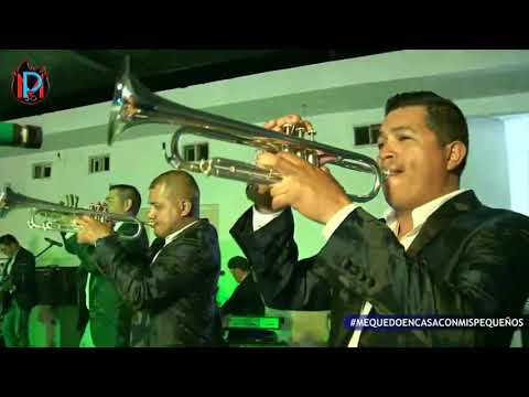 Pequeños Musical - Por Mis Defectos (Show Case 1 2020)