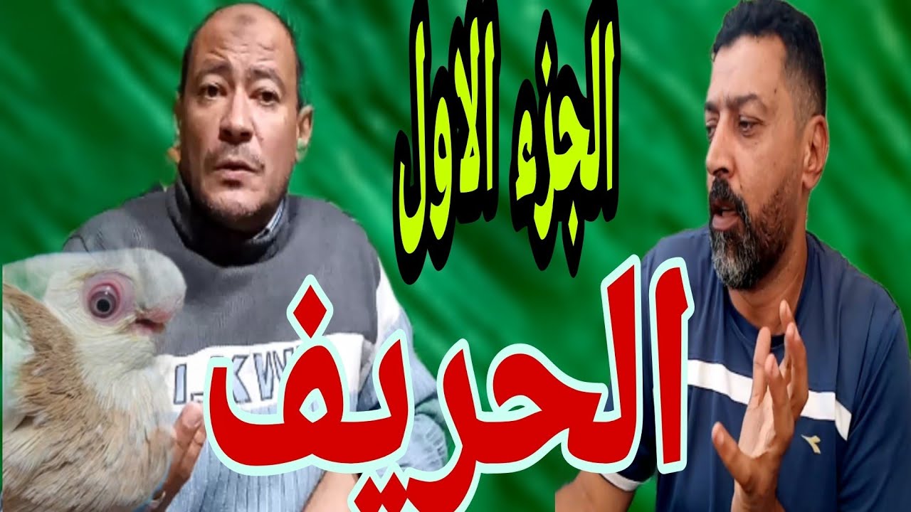 لقو الصافي وتنظيم الدبورة(القصبجي_عرفه)