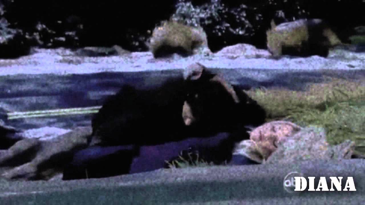 Multi-Couples (For Sarah) Incomplete - YouTube