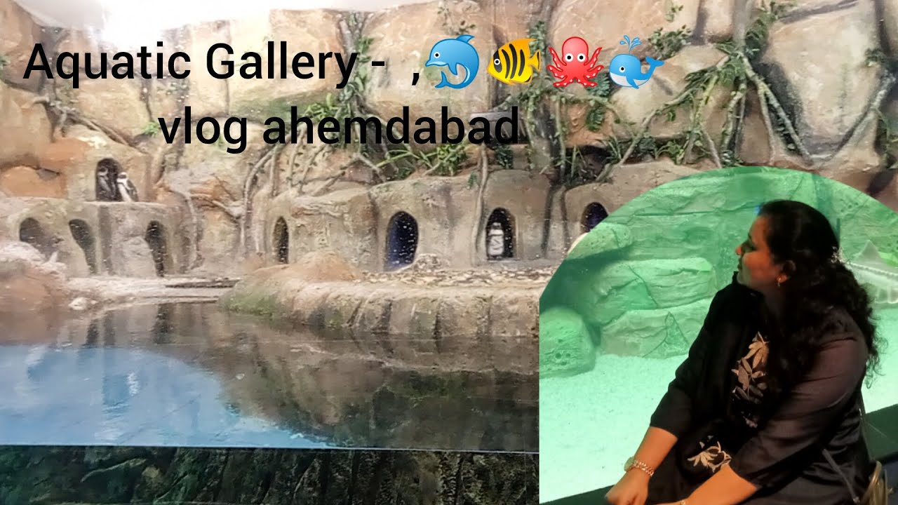 Ahmedabad Aquatic Gallery Vlog | रंग-बिरंगी मछलियों की दुनिया 🐠
