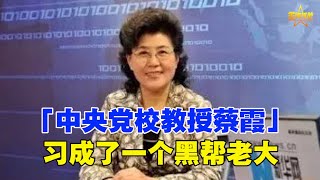 「中央党校教授蔡霞」习成了一个黑帮老大 /前中共中央黨校教授蔡霞私下的講話音頻,尖銳地批評中共體制已經沒有了出路,必須從根本上拋棄️ - 習近平是黑幫老大 -