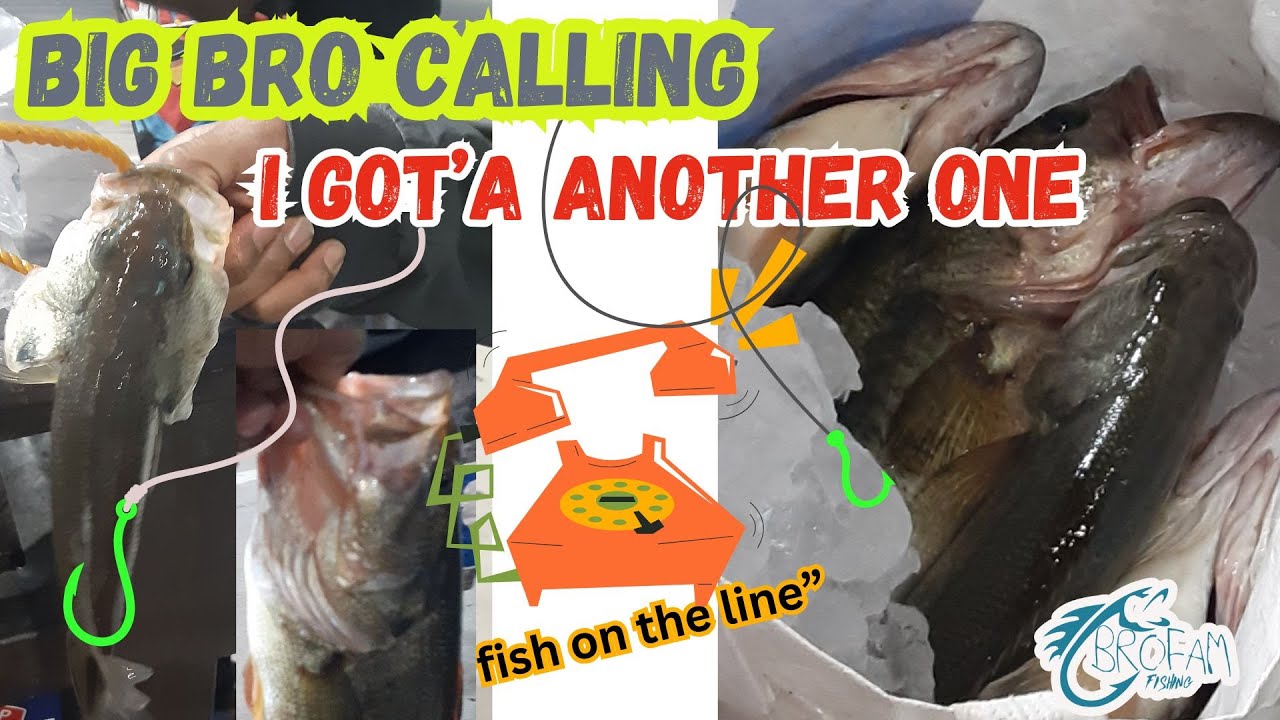 MONSTER BASS HAUL | BIG BROTHER CALLS AND CATCHES 2ND MASSIVE BASS
